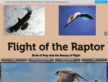 Tablet Screenshot of flightoftheraptor.com
